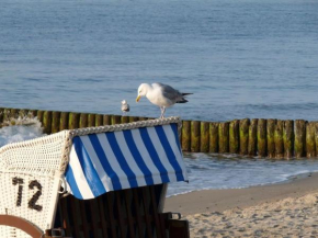 Ferienwohnung Skipper, strandnah mit Whirlpool, Boltenhagen